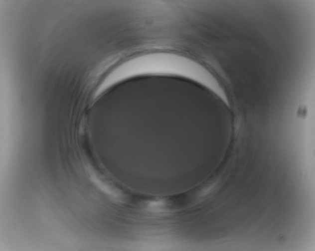 X0000114640068200910201452
