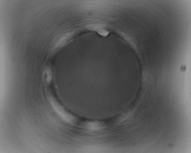 X0000114640069200910201452