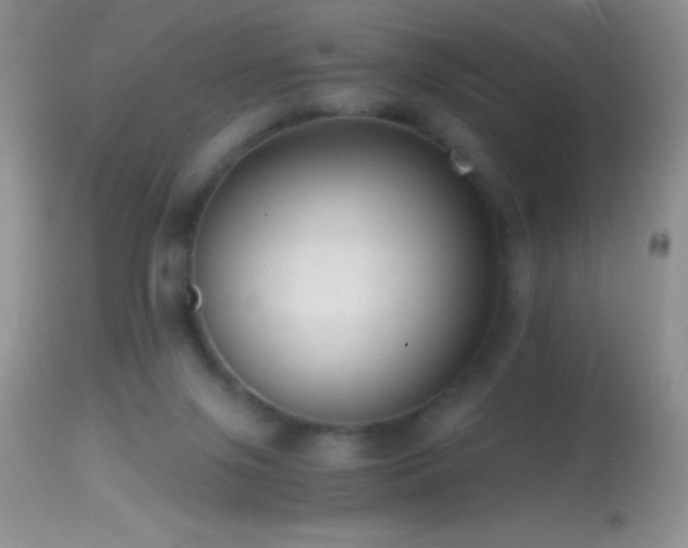 X0000114640071200910201452