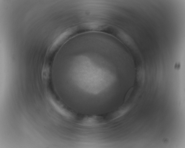 X0000114640072200910201452