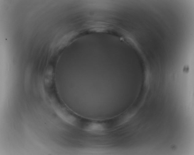 X0000114640073200910201452