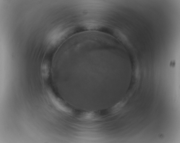 X0000114640074200910201452