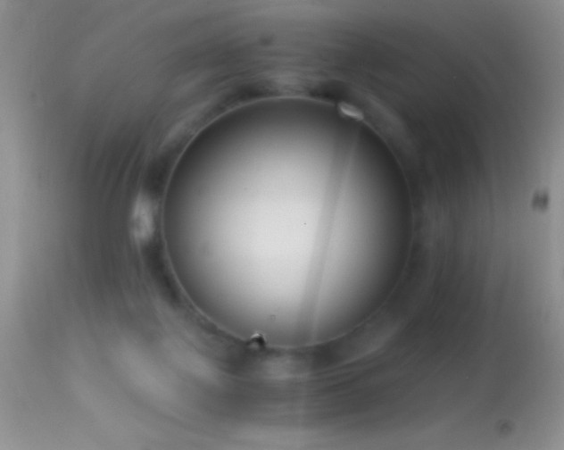 X0000114640075200910201452