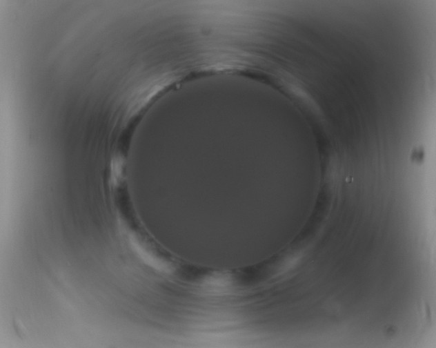 X0000114640076200910201452