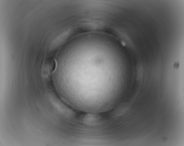 X0000114640077200910201452