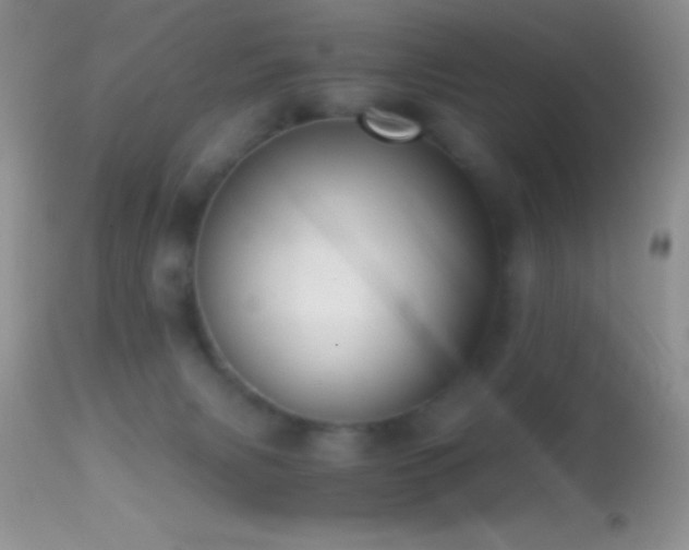 X0000114640079200910201452