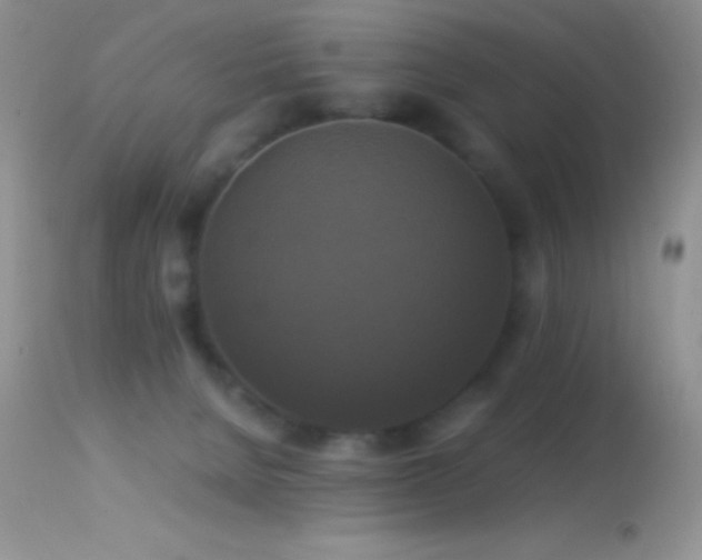 X0000114640080200910201452