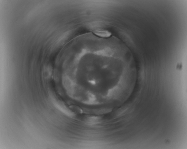 X0000114640081200910201452
