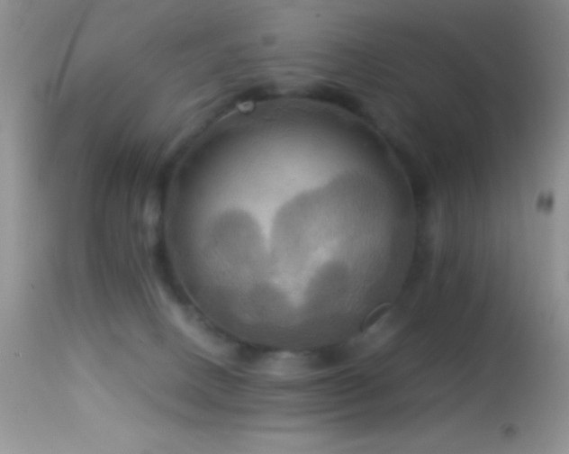 X0000114640082200910201452