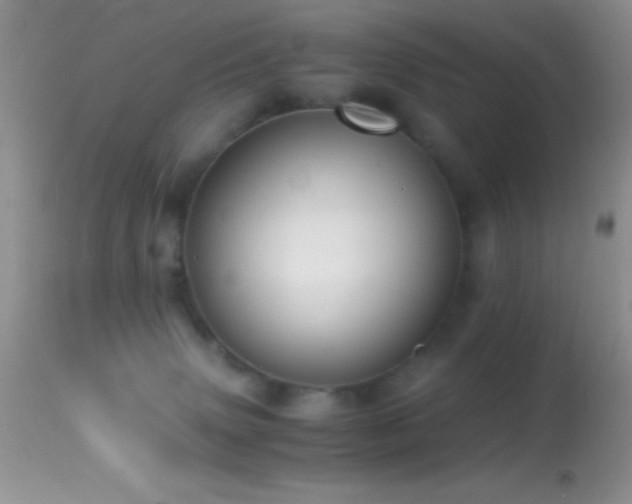X0000114640083200910201452