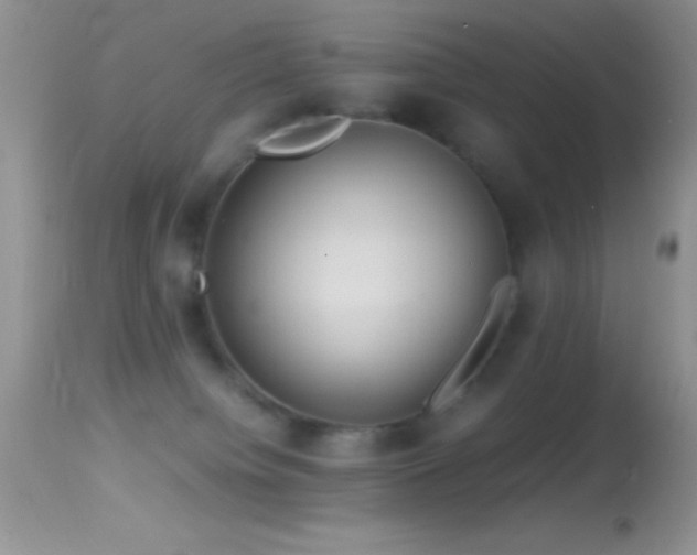 X0000114640084200910201452