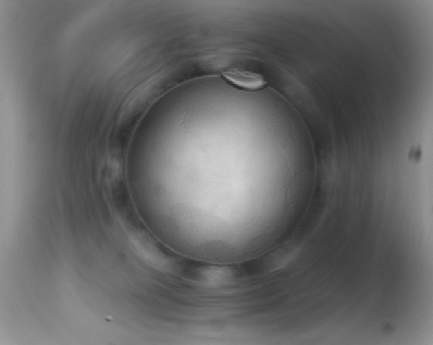 X0000114640085200910201452