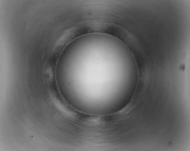 X0000114640086200910201452