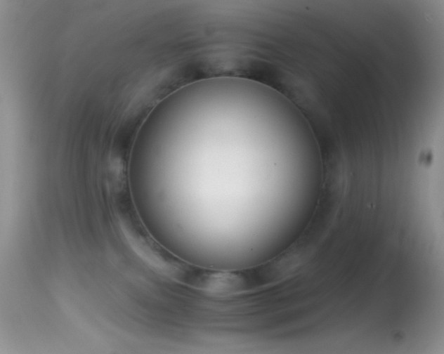 X0000114640087200910201452