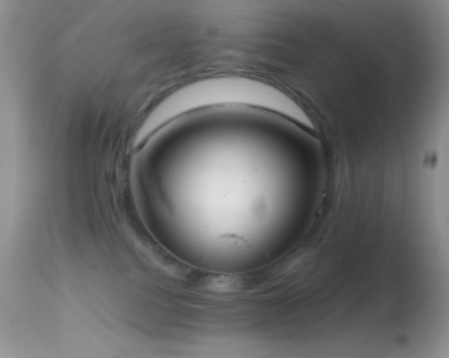 X0000114640088200910201452