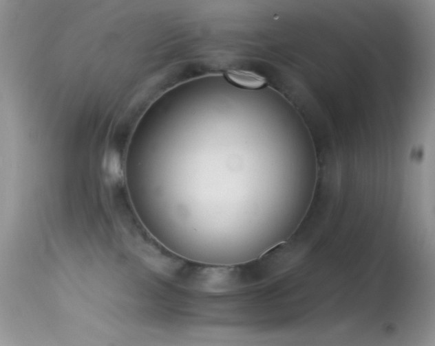 X0000114640089200910201452