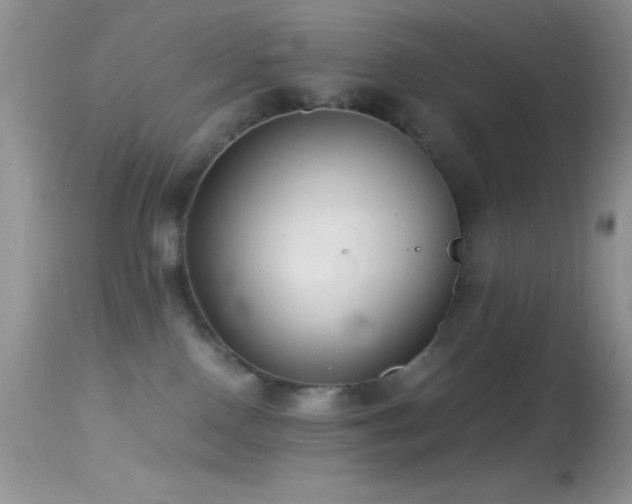 X0000114640090200910201452
