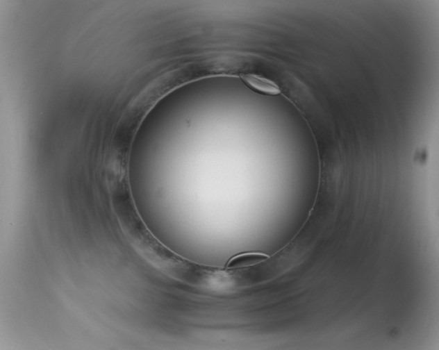 X0000114640091200910201452