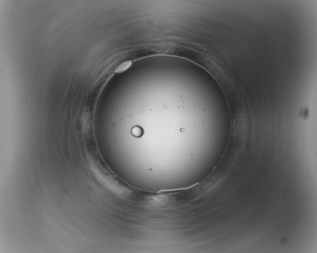 X0000114640092200910201452