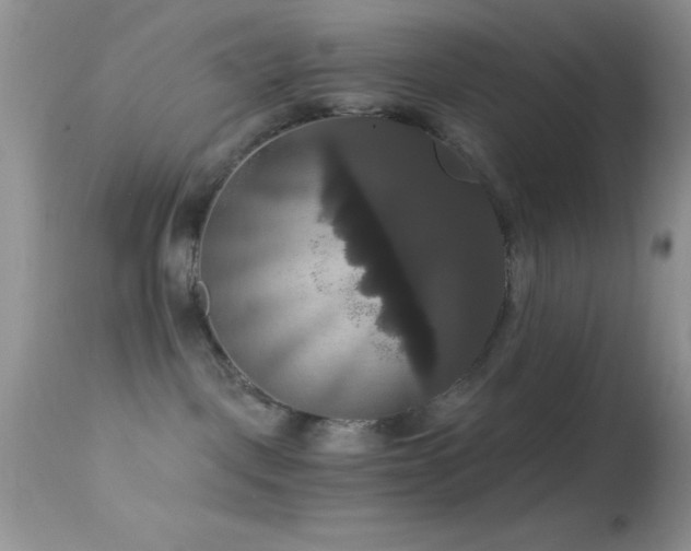 X0000114640093200910201452