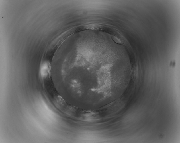 X0000114640095200910201452