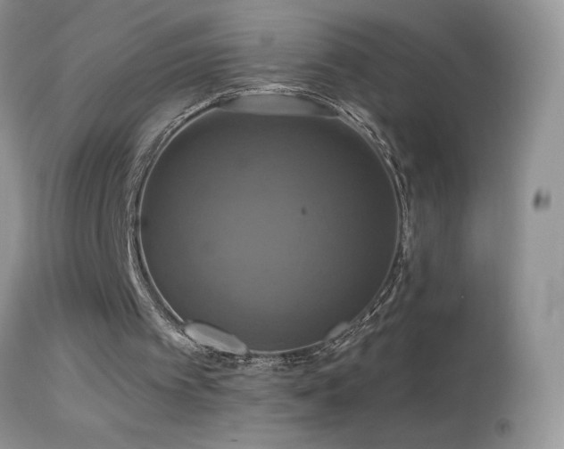 X0000114640097200910201451