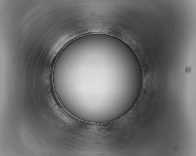 X0000114640098200910201451
