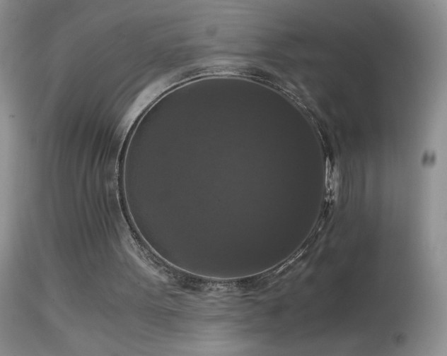 X0000114640099200910201451