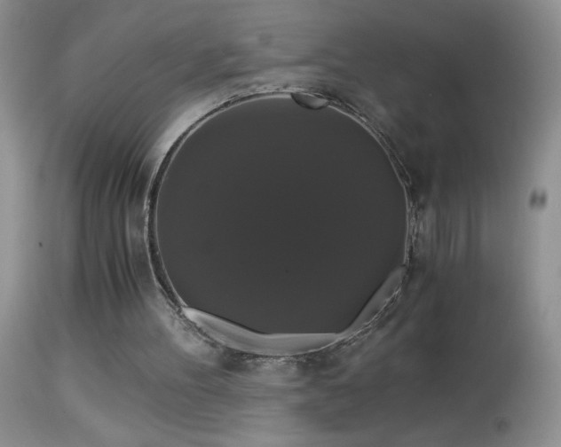 X0000114640100200910201451