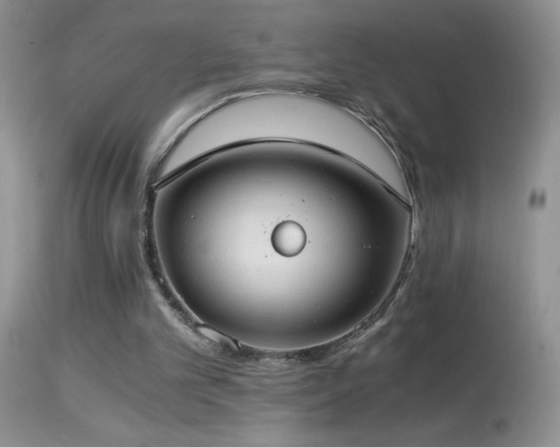 X0000114640101200910201451