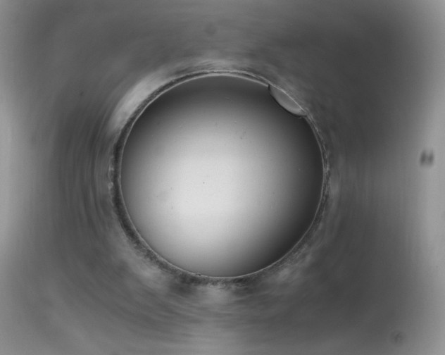 X0000114640103200910201451