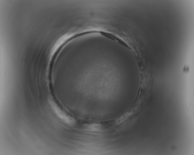 X0000114640104200910201451