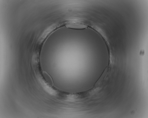 X0000114640105200910201451