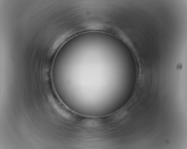 X0000114640106200910201451