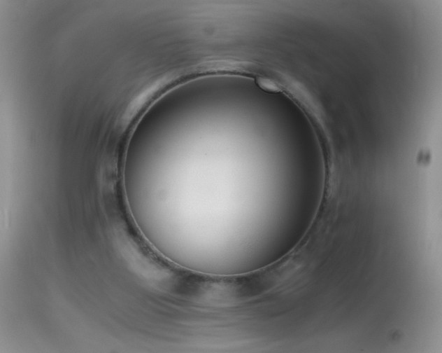 X0000114640107200910201451
