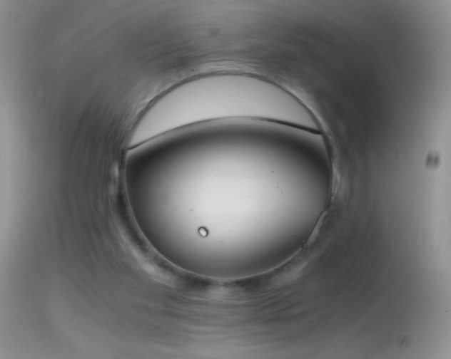 X0000114640109200910201451