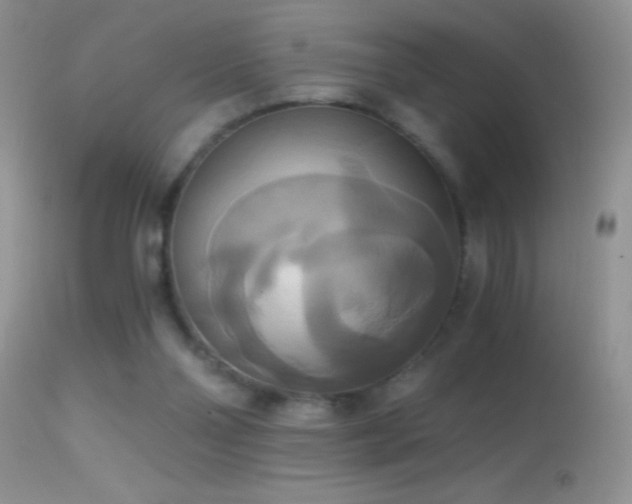 X0000114640110200910201451