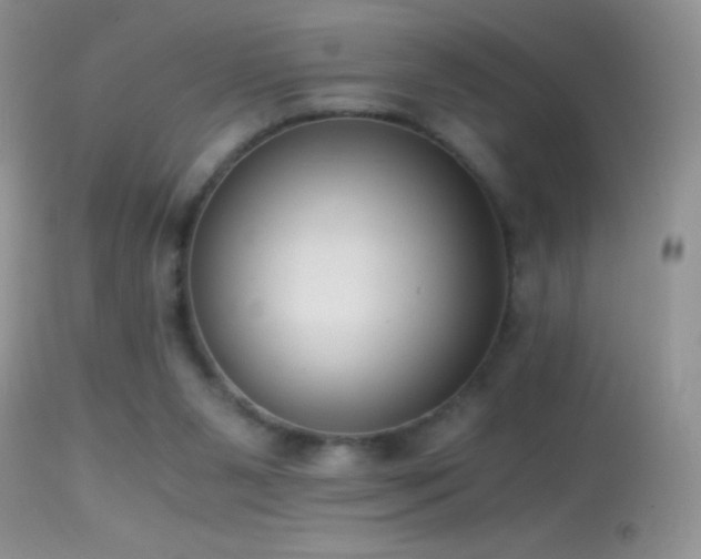 X0000114640111200910201451