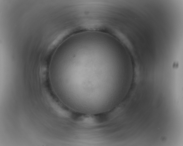 X0000114640113200910201451