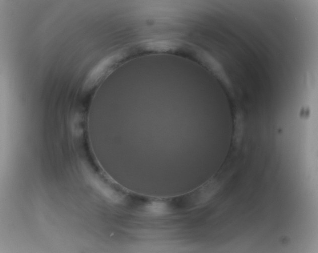 X0000114640114200910201451