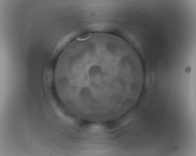 X0000114640115200910201451