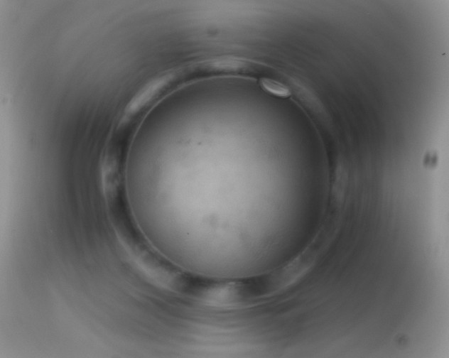 X0000114640116200910201451