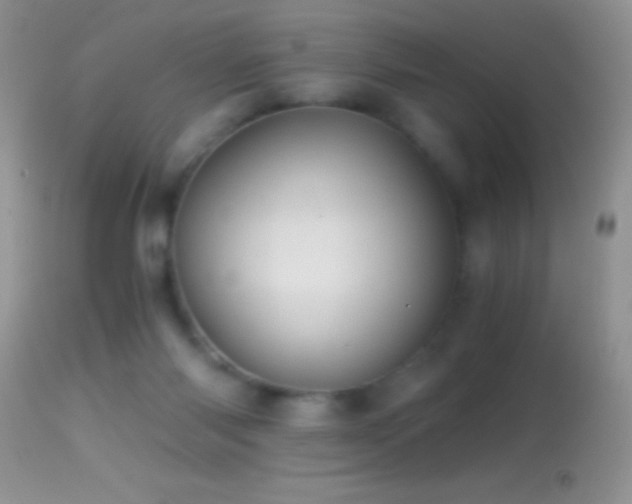X0000114640118200910201451