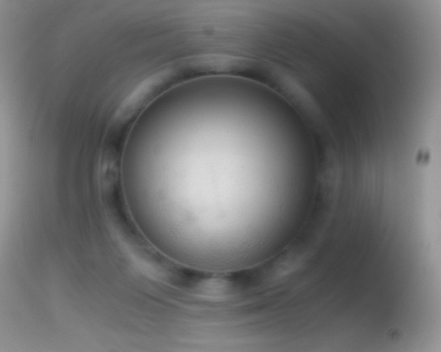 X0000114640119200910201451