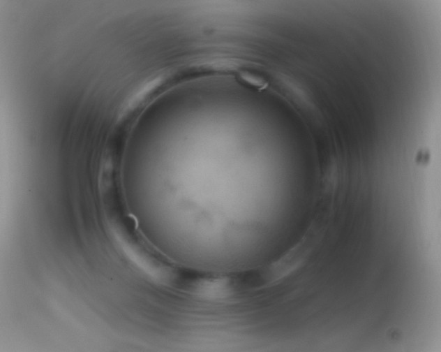 X0000114640120200910201451