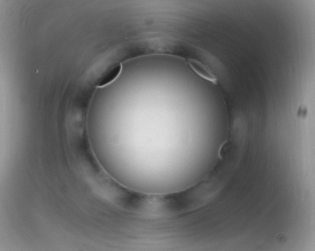 X0000114640121200910201451