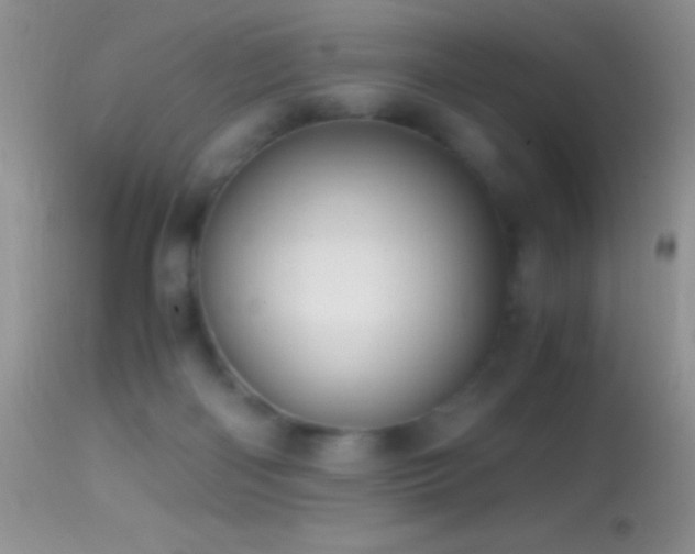 X0000114640122200910201451