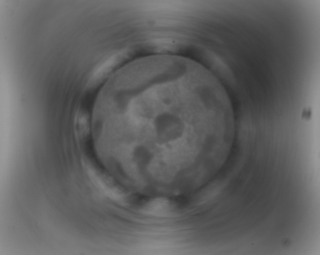 X0000114640123200910201451