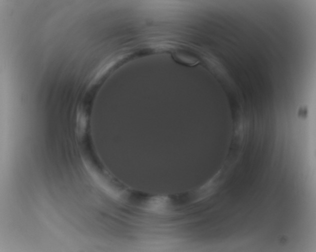 X0000114640124200910201451