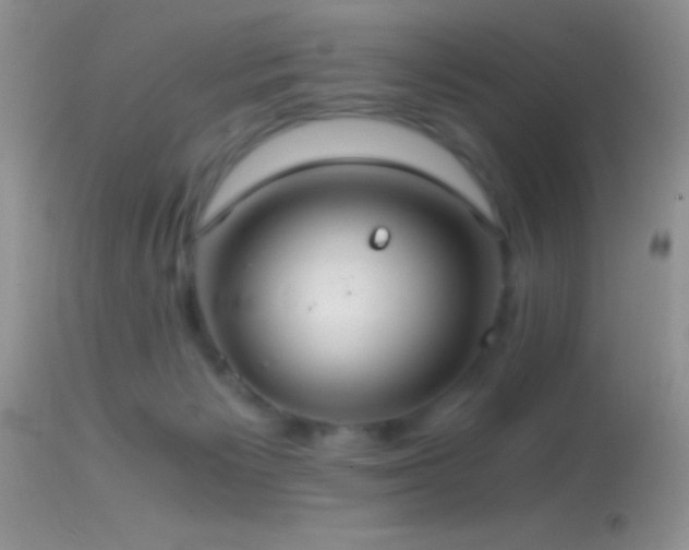 X0000114640125200910201451